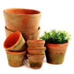 Mossed Redstone Cactus Pot