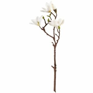 Magnolia White