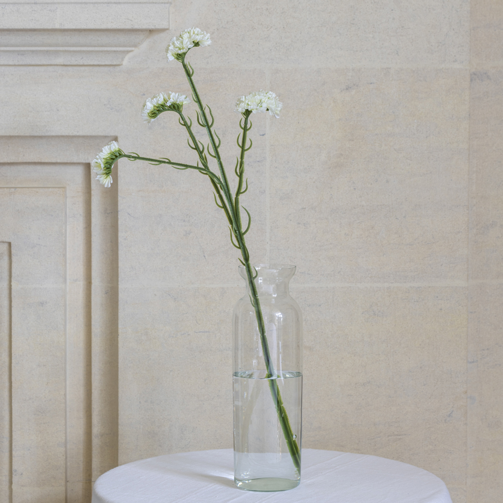 Statice Off White