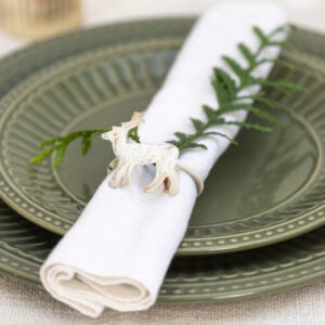 Napkin Rings Antique White Set of 6