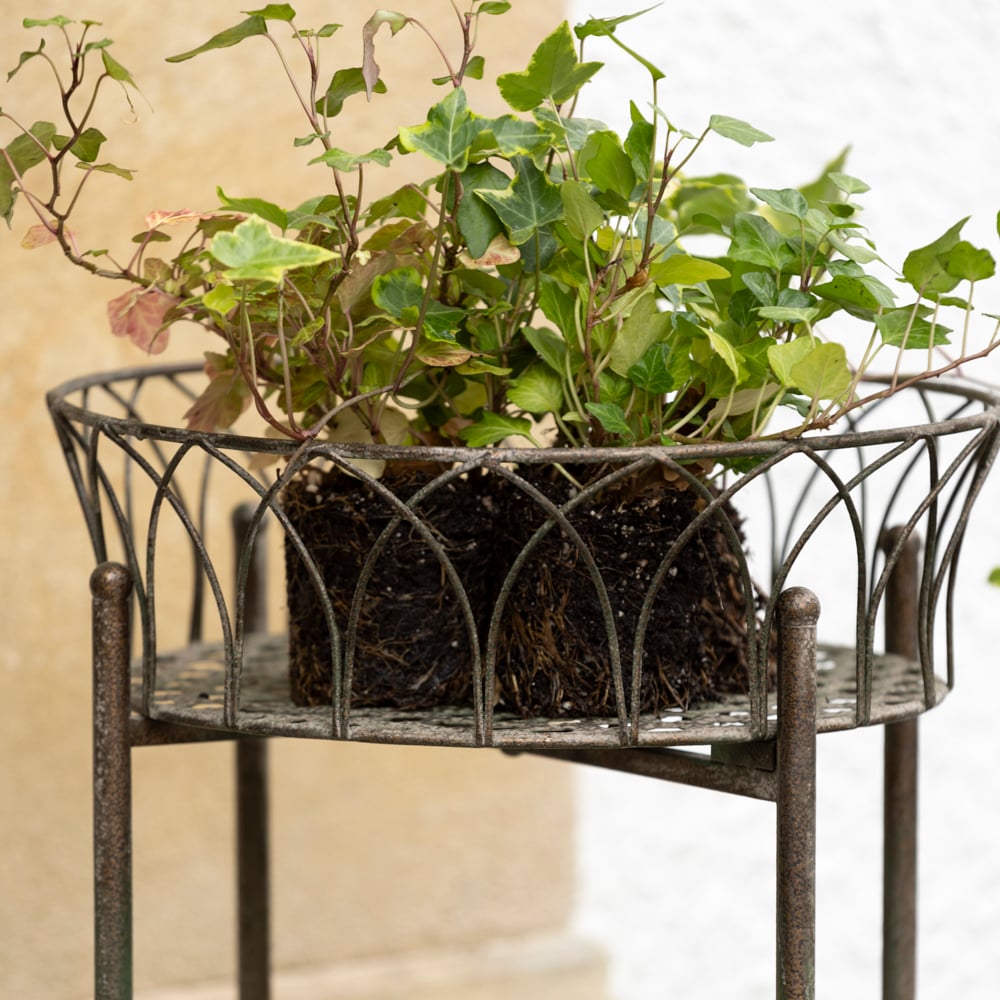 Raised Planter Shallow Tall