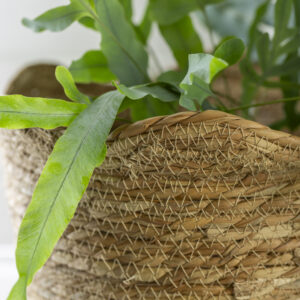 Seagrass Basket Planter Frill Edge Small