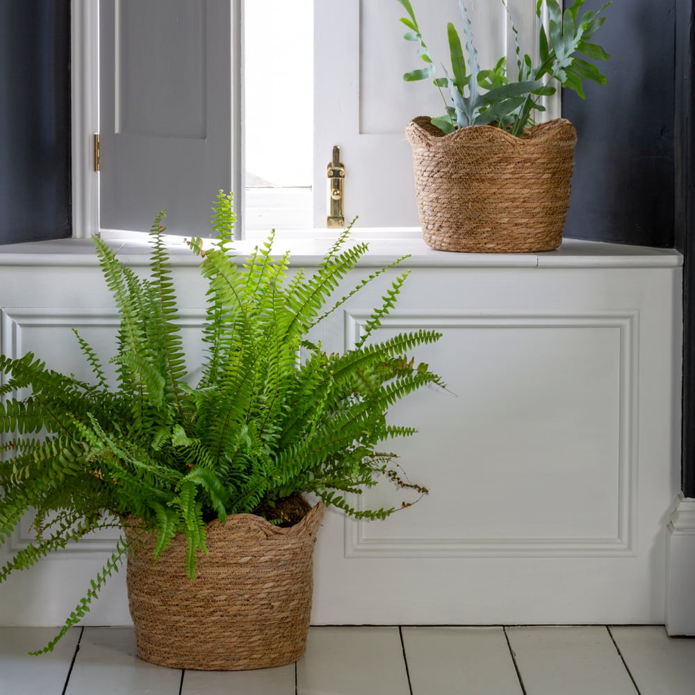 Seagrass Basket Planter Frill Edge Small