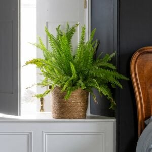 Seagrass Basket Planter Frill Edge Small