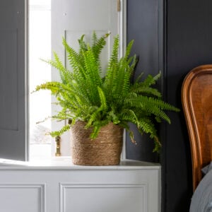 Seagrass Basket Planter Frill Edge Small