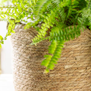 Seagrass Basket Planter Frill Edge Small