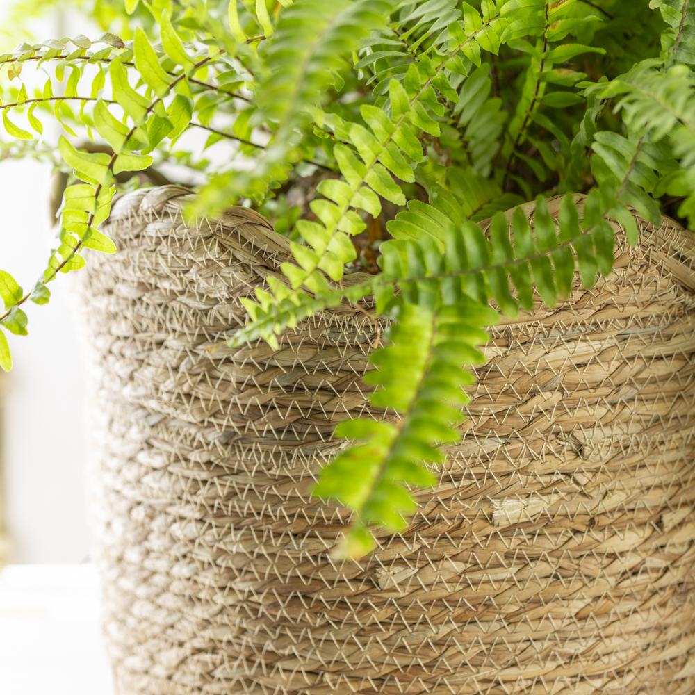 Seagrass Basket Planter Frill Edge Small