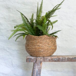 Seagrass Basket Planter Shallow Frill Edge Small