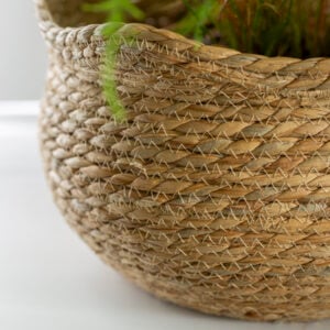 Seagrass Basket Planter Shallow Frill Edge Large