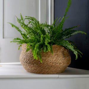 Seagrass Basket Planter Shallow Frill Edge Large