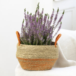 Seagrass Basket With Handles Orange