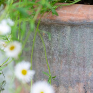 Antiqued Redstone Ribbed Pot Large