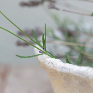 Antiqued Whitestone Dish Planter Frill Rim