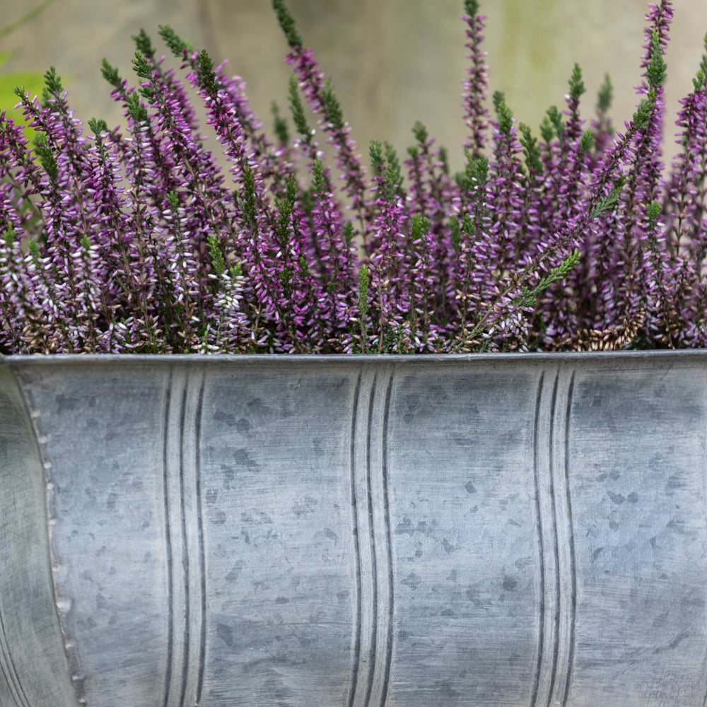 Zinc Ornate Planter With Feet Large