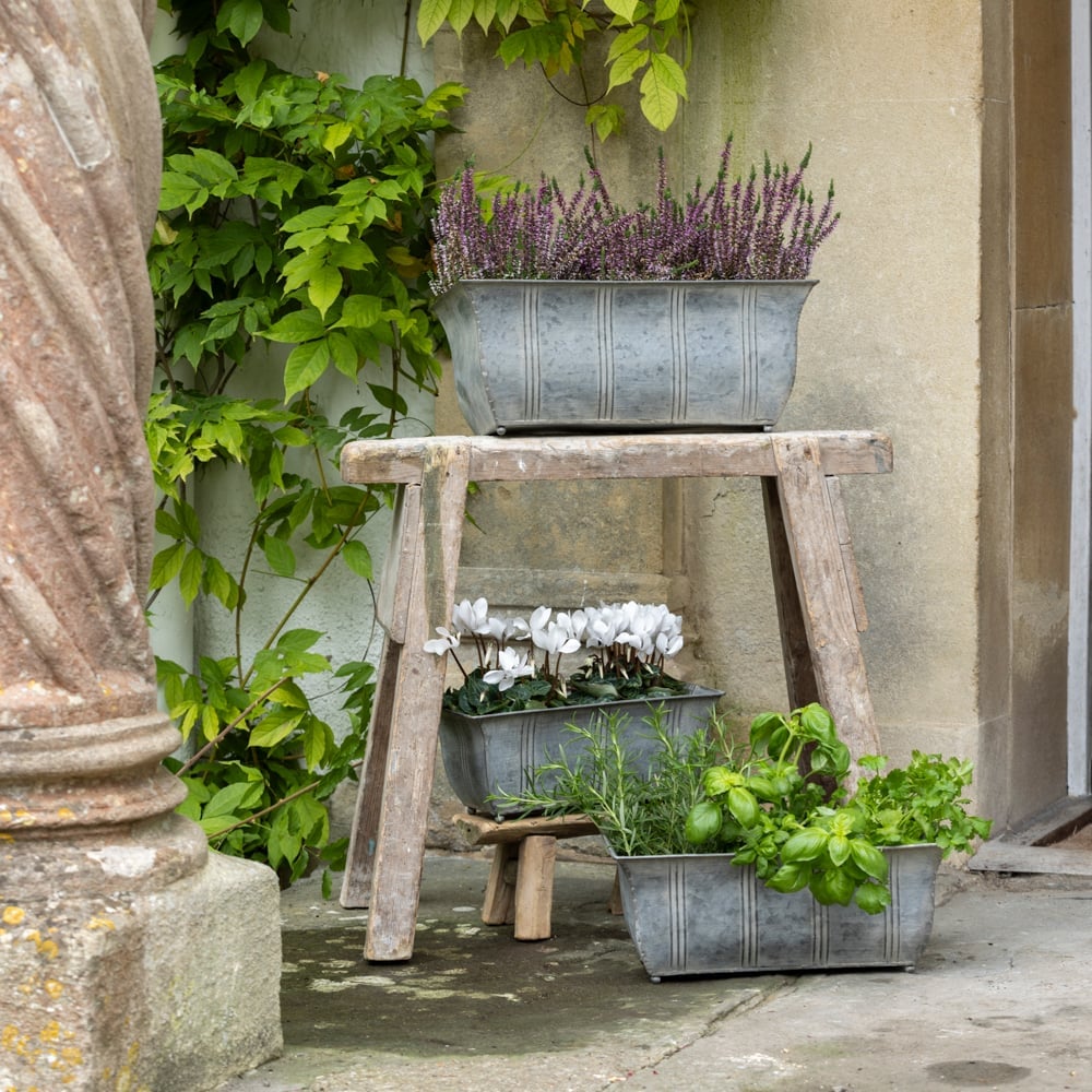 Zinc Ornate Planters