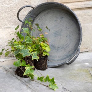 Zinc Round Bowl With Handles Large