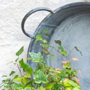 Zinc Round Bowl With Handles Large