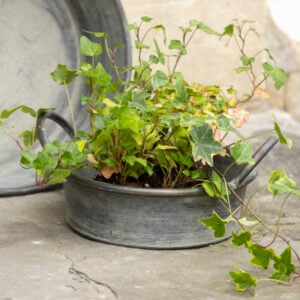 Zinc Round Bowl With Handles Small