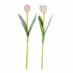 Tulip Light Pink Mix