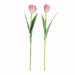 Tulip Pink Mix
