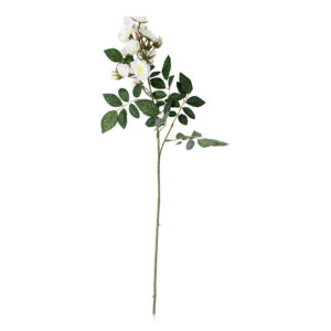 Climbing Rose Cream