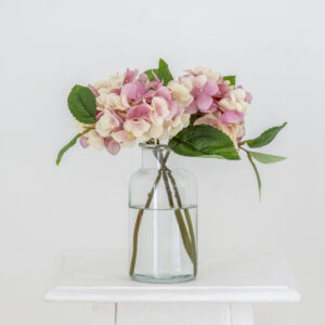 Hydrangea Pink