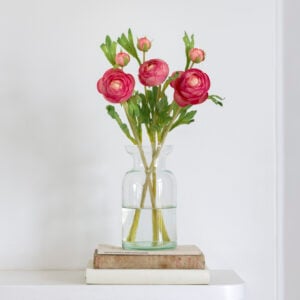 Ranunculus Pink