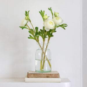 Ranunculus Cream