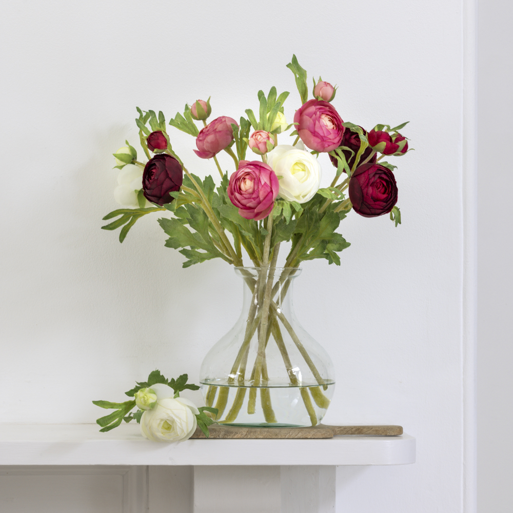 Ranunculus Cream