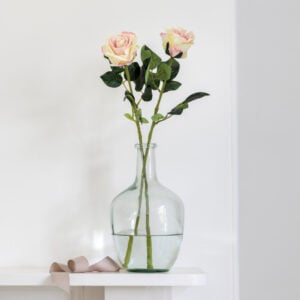 Rose Single Stem Pink Edged