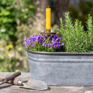 Zinc Oval Planters Set of 2