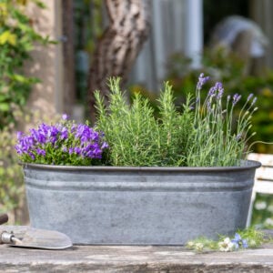 Zinc Oval Planters Set of 2
