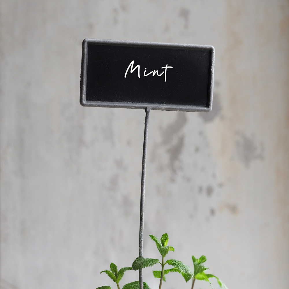 Metal Blackboard Plant Marker