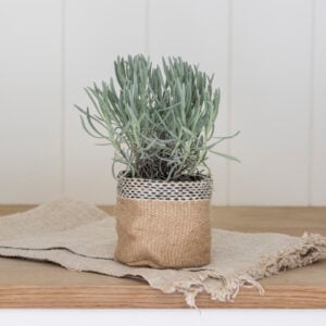Jute Planter Lined Natural Small