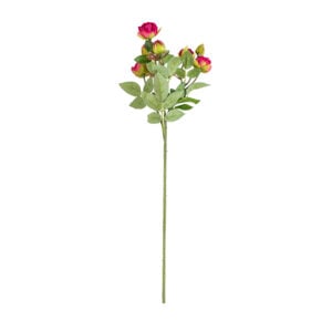 Rosebud Spray Red