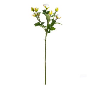 Rosebud Spray White
