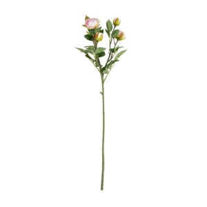 Rosebud Spray Pink