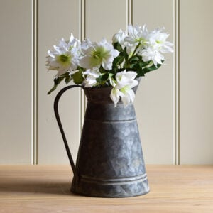 Hellebore Double White