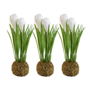 Crocus on Moss Ball White