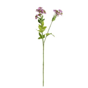 Astrantia Spray Soft Purple