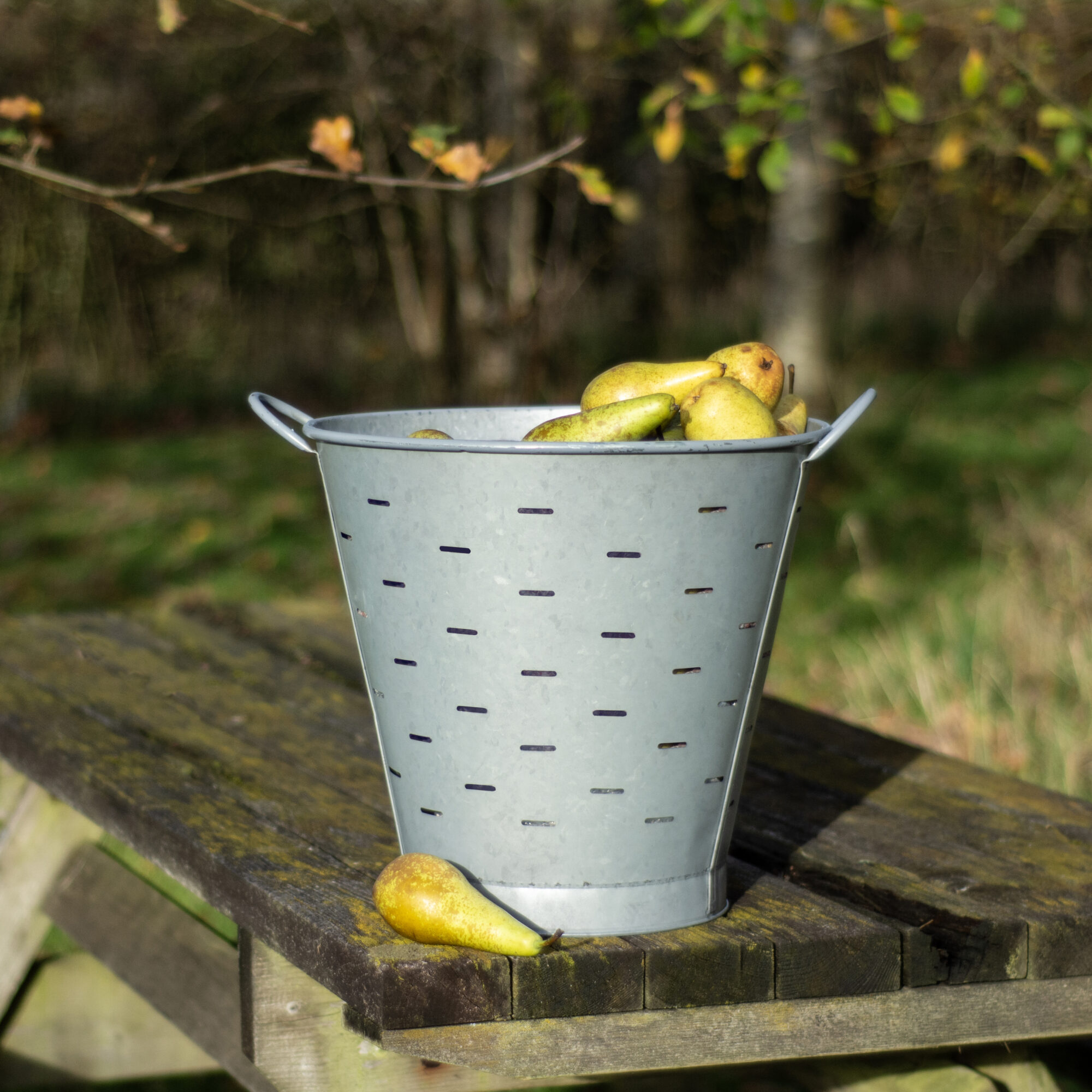 Windfall Bucket