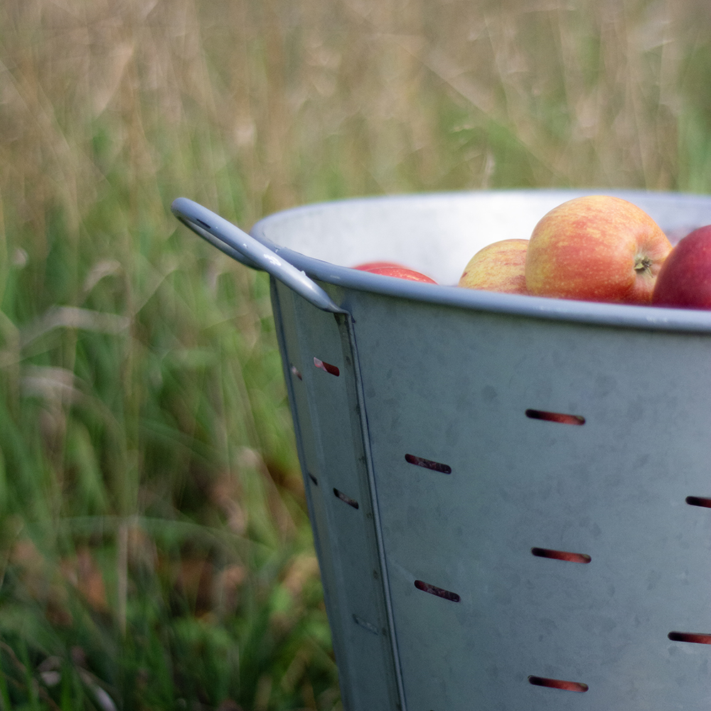 Windfall Bucket