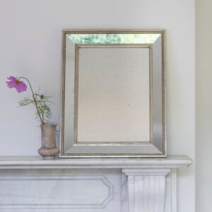 Bevelled Mirror Champagne Gold
